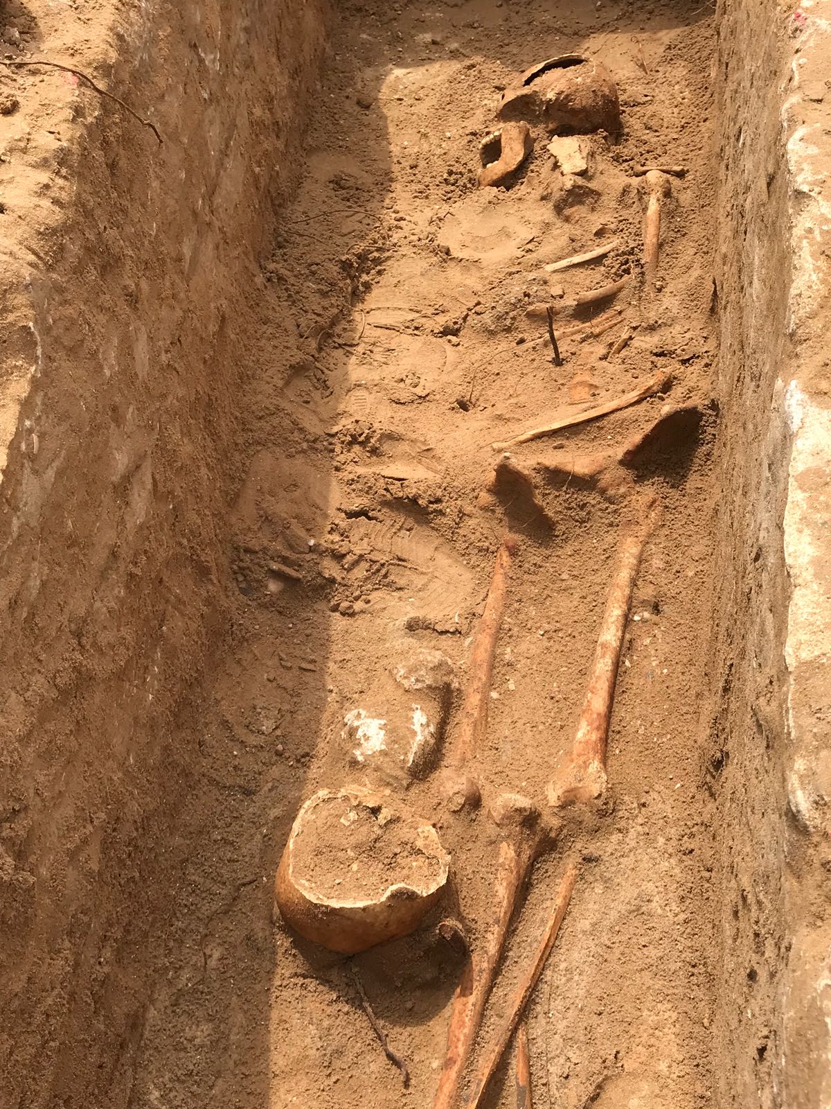 WhatsApp Image 2020-06-17 at 9.30.49 AM (1).jpeg.jpeg